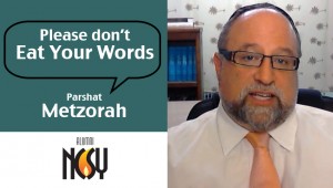 Metzorah Rabbi Yehoshua Kohl