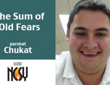 The Sum of Old Fears – Parshat Chukat – Avi Levy, West Coast NCSY Advisor