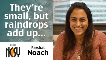 Parshat Noach: They’re small, but raindrops add up – Corrine Malachi, New York NCSY Alumna