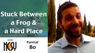 Parshat Bo – Stuck Between a Frog and a Hard Place – Rabbi Yehuda Maryles, director Las Vegas NCSY