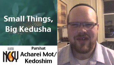 Parshat Acharei Mot-Kedoshim – Small Things, Big Kedusha – Willie Balk, NCSY & TJJ Advisor