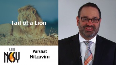 Parshat Nitzavim- Tail of a Lion – Rabbi Yehoshua Marchuck, Director of NCSY Alumni Connections